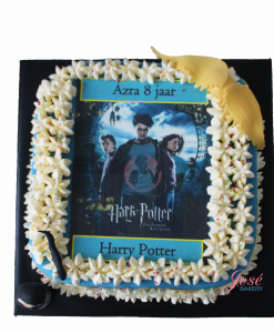 Harry Potter taart 16 personen